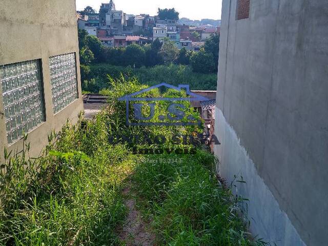 #247 - Terreno para Venda em São Paulo - SP - 1